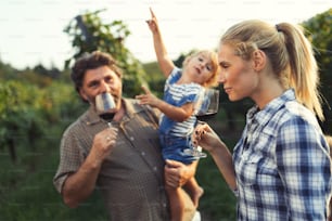 Picture of people tasting red wine in vineyard having fun time