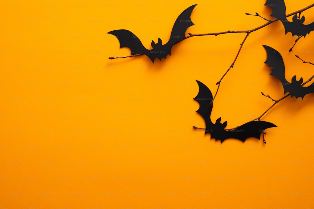 Concepto de vacaciones de Halloween. Murciélagos de Halloween sobre fondo naranja. Maqueta de tarjeta de felicitación de fiesta de Halloween con espacio de copia. Plano, vista superior, cenital.