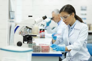 Professional lab. Delighted brunette researcher bowing head while examining pink reagent