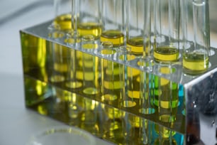 pesquisa de óleo de biocombustível em laboratório, conceito de energia de biocombustível