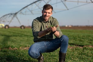 Jeune agriculteur debout dans un champ de blé et examinant la récolte dans ses mains.