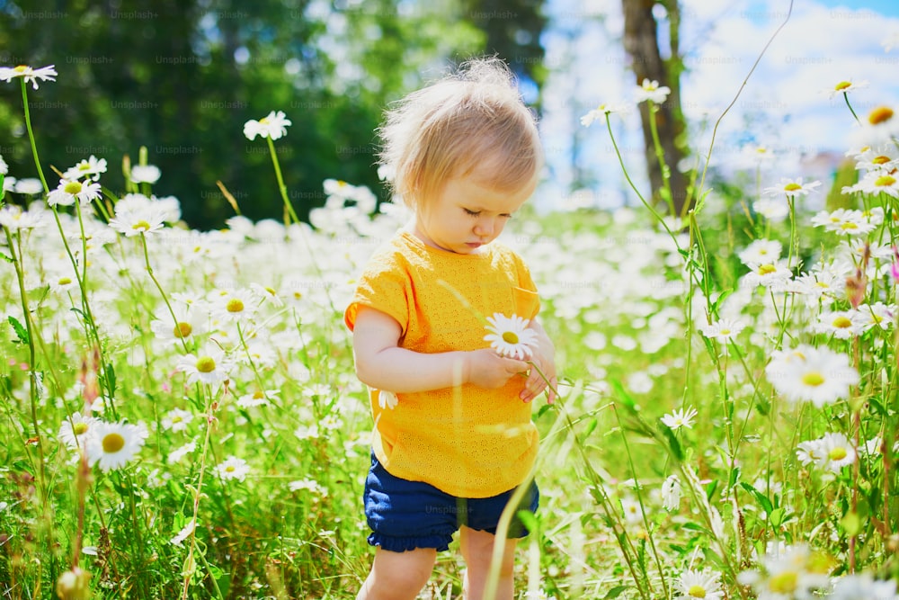여름날 푸른 잔디와 아름다운 데이지 사이에 있는 사랑스러운 아기 소녀. 야외에서 즐거운 시간을 보내는 어린 아이. 자연을 탐험하는 아이