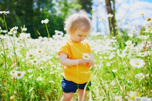 Entzückendes Mädchen inmitten von grünem Gras und schönen Gänseblümchen an einem Sommertag. Kleines Kind hat Spaß im Freien. Kind, das die Natur erkundet