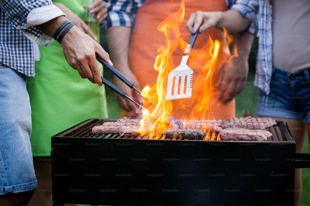 Friends having a barbecue party in nature while having fun