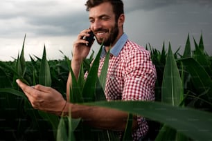 Young farmer standing in corn field examining crop while talking on phone.