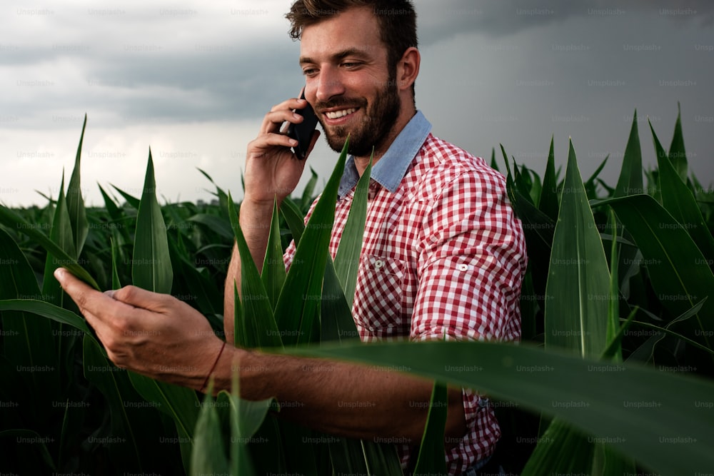 Jeune agriculteur debout dans un champ de maïs examinant la récolte tout en parlant au téléphone.