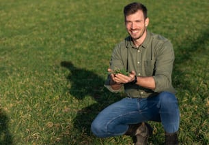 Young farmer standing in wheat field and examining crop in his hands.