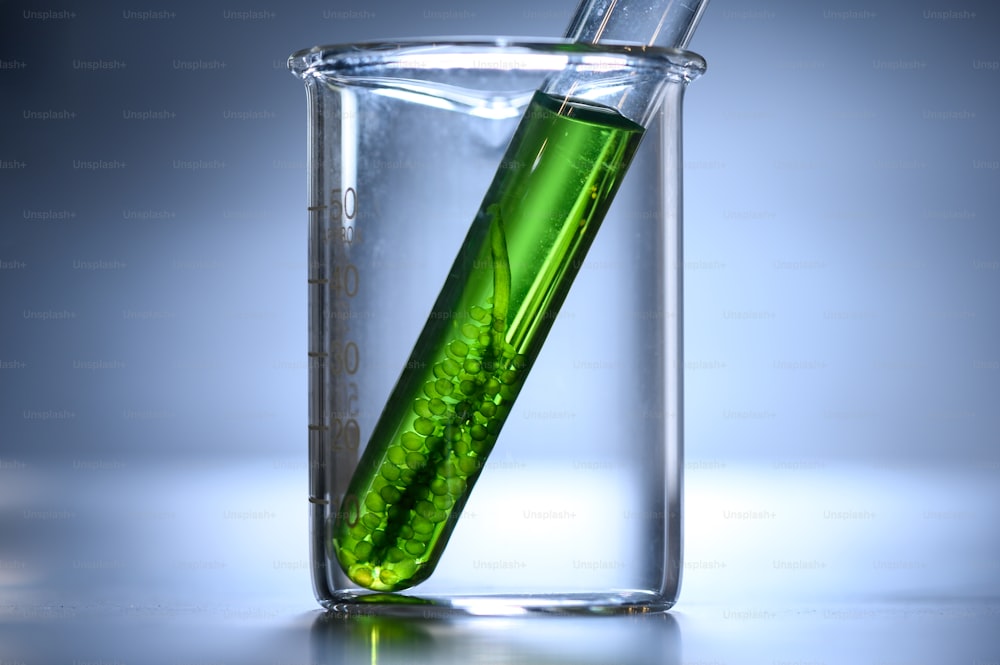 実験室での藻類研究、バイオテクノロジー科学の概念