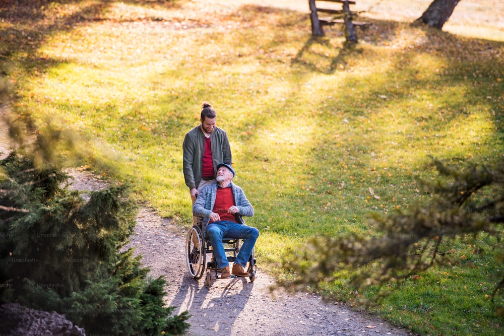 Ein älterer Vater mit Rollstuhl und sein Sohn zu Fuß in der Natur.