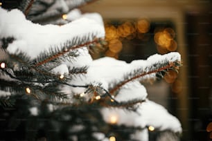 Stylish christmas trees with gold festive lights, covered with snow, at holiday market in city street. Space for text. Fir branches with illumination. Christmas street decor.