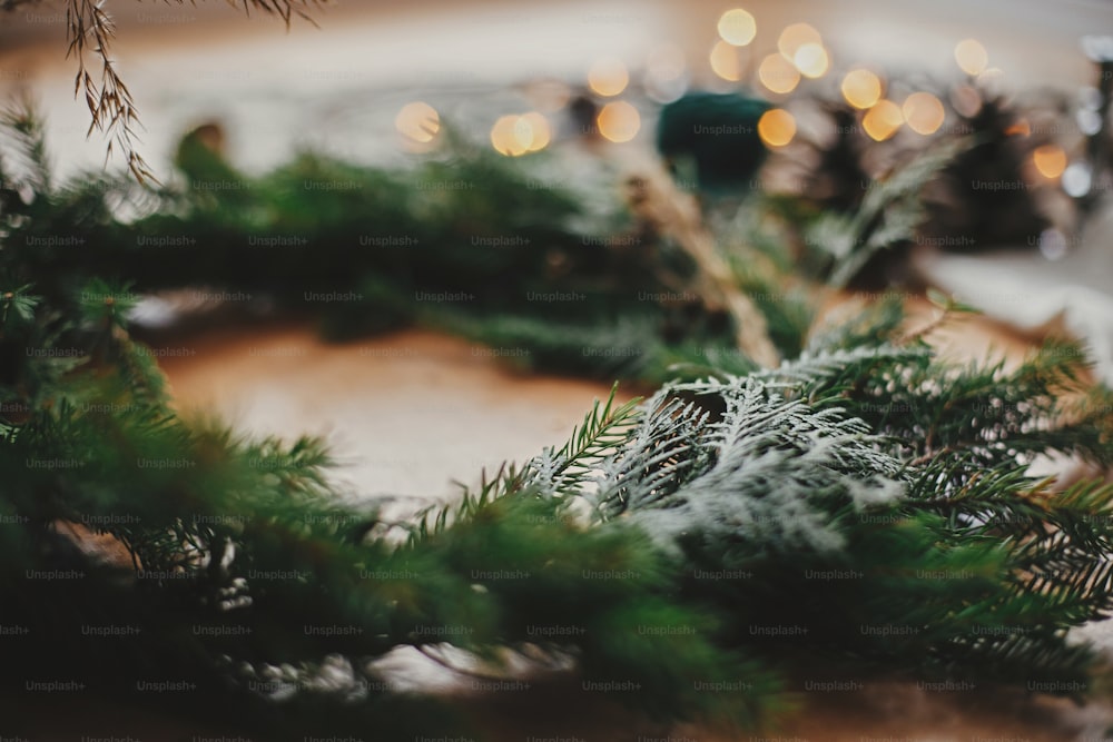 Fir branches, pine cones closeup  and golden lights glowing on wooden table. Rustic Christmas wreath workshop. Authentic stylish still life. Making Christmas wreath.