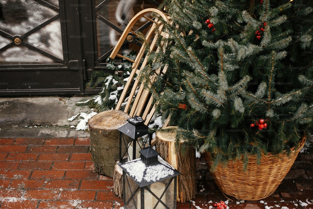 Christmas street decor. Stylish christmas tree in basket and wooden sleigh at front of store at holiday market in city street. Space for text. Rustic decoration