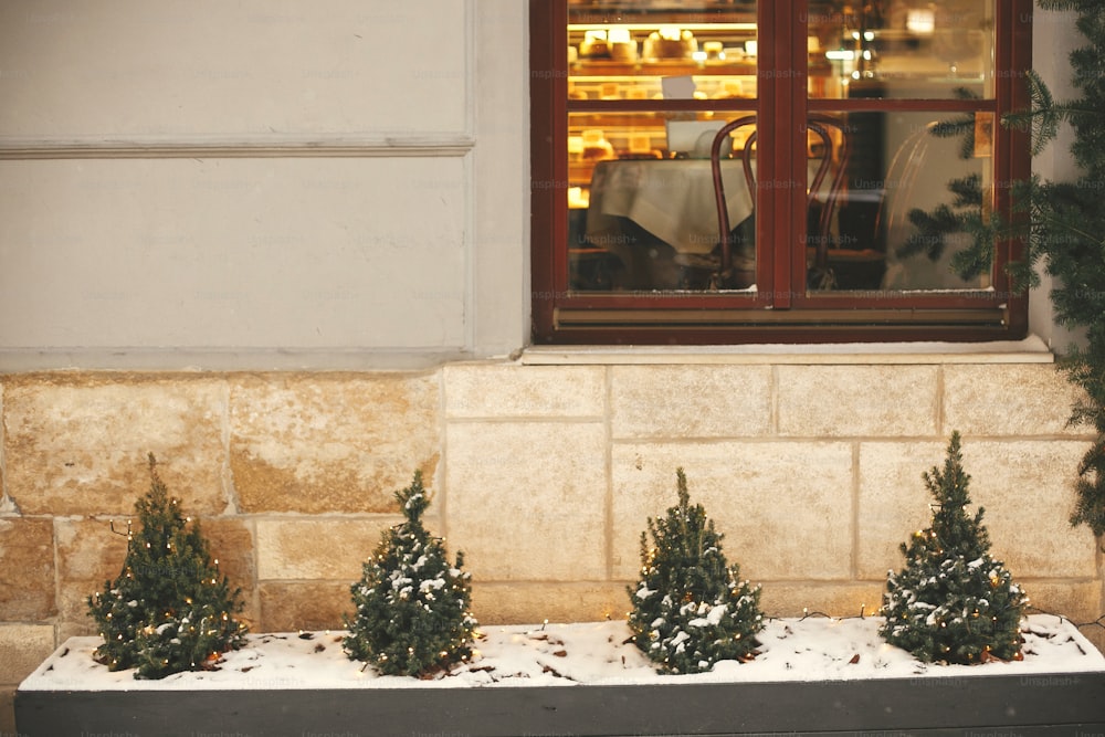 Weihnachtliche Straßendekoration. Stilvolle kleine Weihnachtsbäume mit goldenen festlichen Lichtern, mit Schnee bedeckt, am Gebäude, Weihnachtsmarkt in der Stadtstraße. Platz für Text. Bäume mit Beleuchtung