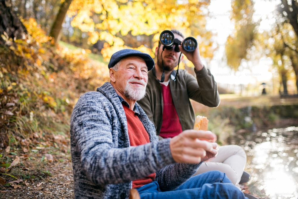 Senior father and his son with binoculars sitting on bench in nature, talking.