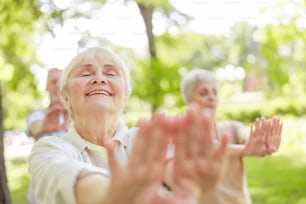Smiling senior lady doing qigong meditation exercise stock photo. Website banner