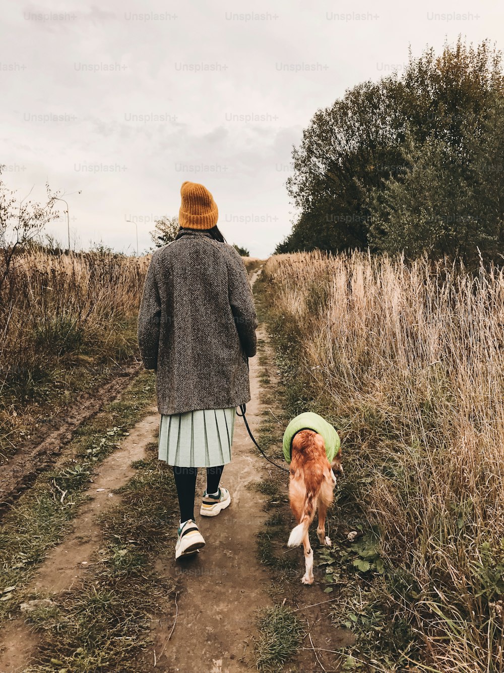 Stylish Hipster girl in yellow hat and coat walking with her golden dog in coat in autumn field among herbs. Woman in modern clothes walking with friend dog in countryside