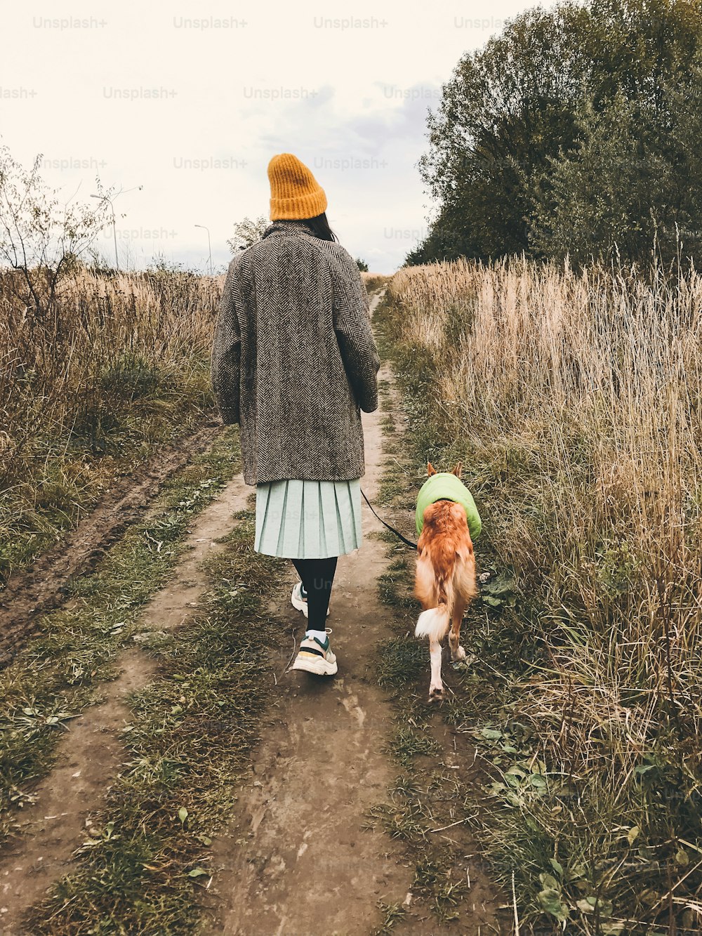 Hipster girl in yellow hat and in coat walking with her golden dog in coat in autumn field among herbs. Stylish woman in modern outfit walking with her friend dog in countryside