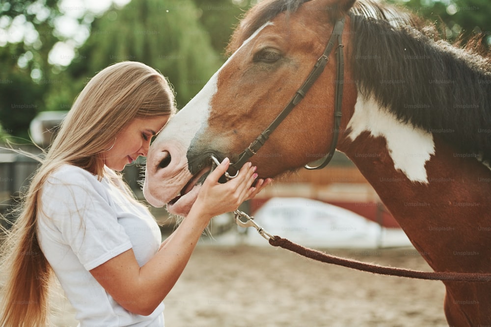 Hugging with horse. Happy woman on the ranch at daytime.