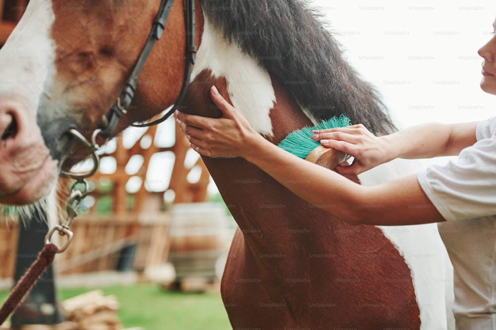 Piel limpia. Mujer feliz con su caballo en el rancho durante el día.