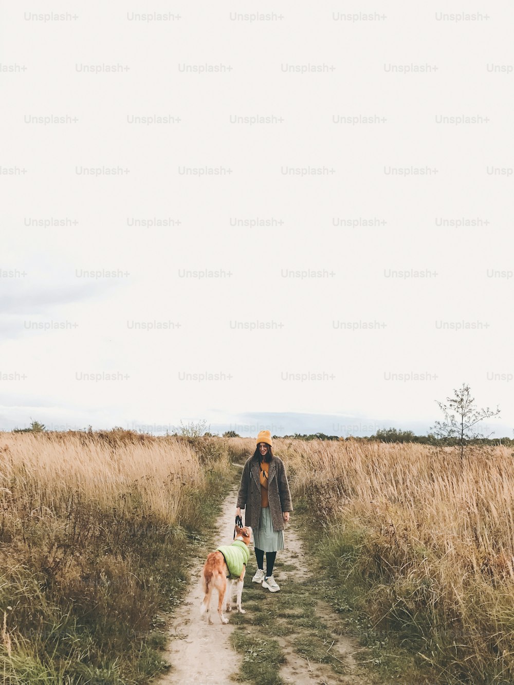 Stylish Hipster girl in yellow hat and coat walking with her golden dog in coat in autumn field among herbs. Woman in modern clothes walking with friend dog in countryside