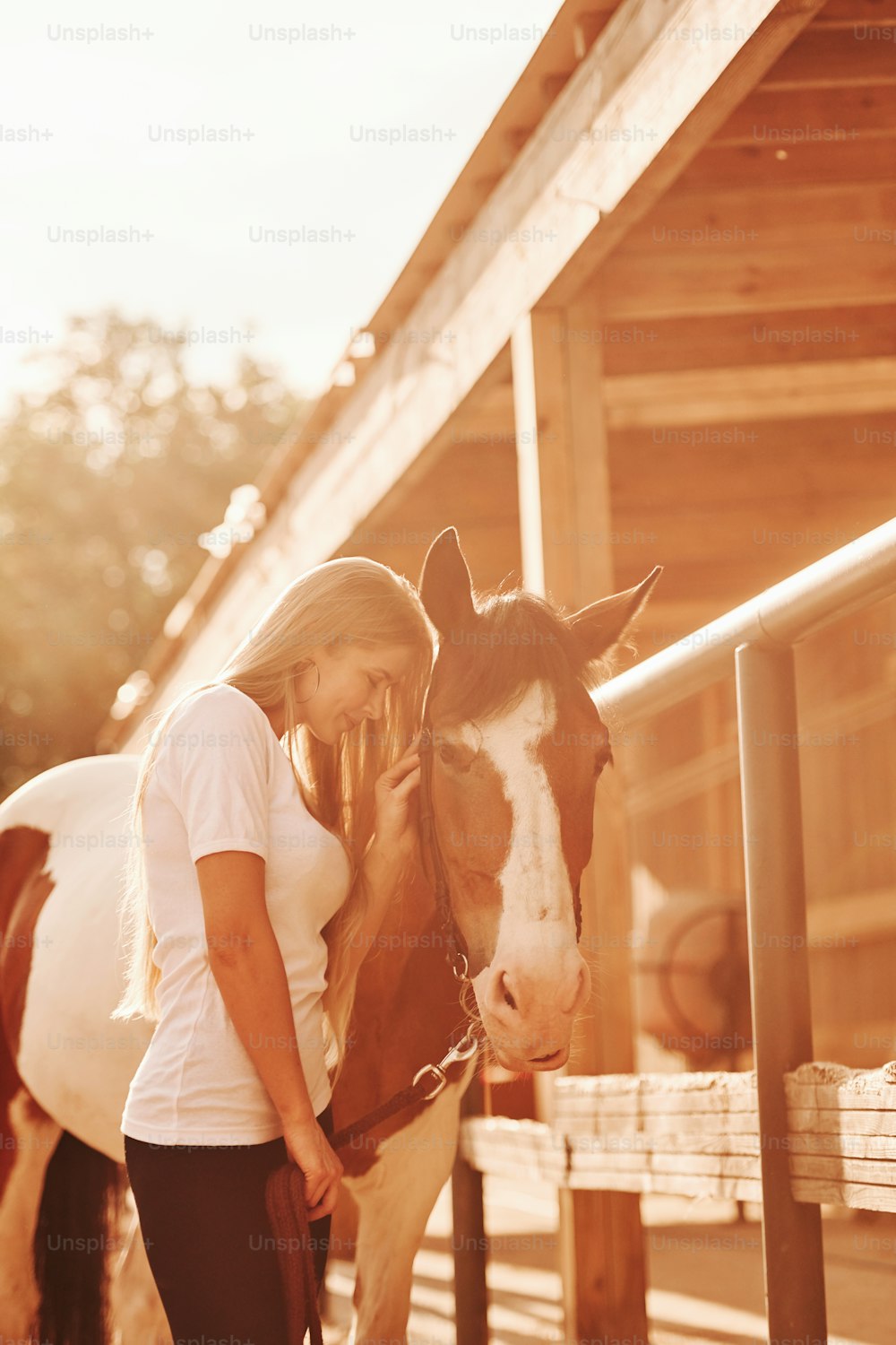 Illuminated by orange sunlight. Happy woman with her horse on the ranch at daytime.