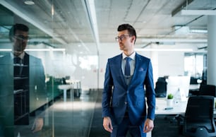 A portrait of young businessman standing in an office. Copy space.