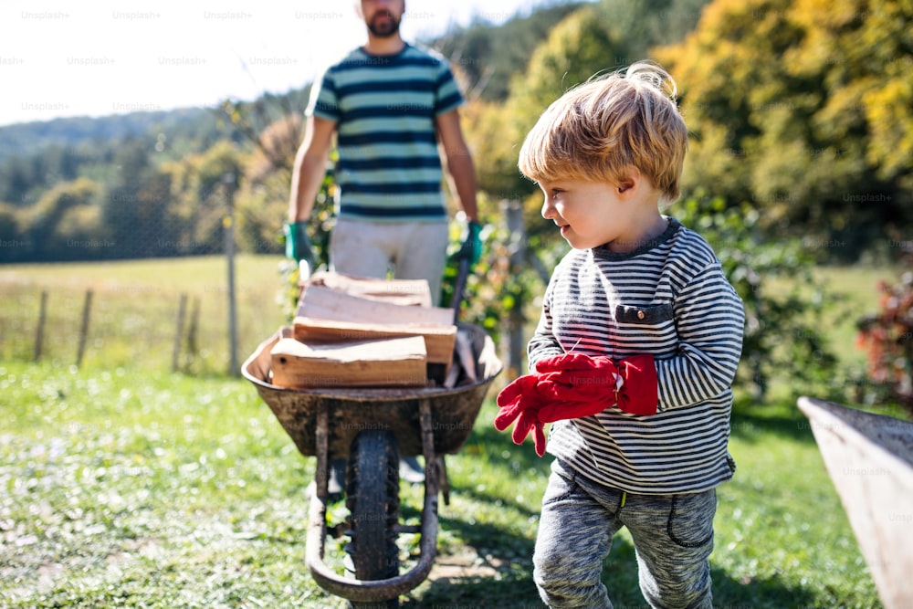 Unrecognizable father and toddler boy outdoors in summer, carrying firewood in wheelbarrow, midsection.