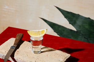 Tequila-Shot, mit Zitrone. Agavenblatt, Farben der mexikanischen Flagge