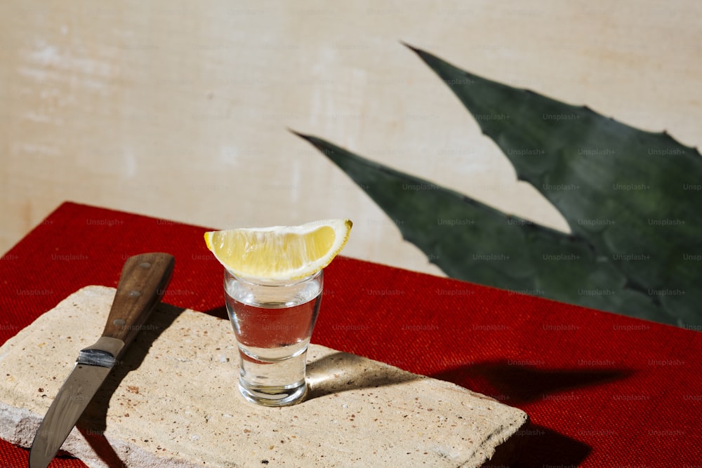 Tequila-Shot, mit Zitrone. Agavenblatt, Farben der mexikanischen Flagge