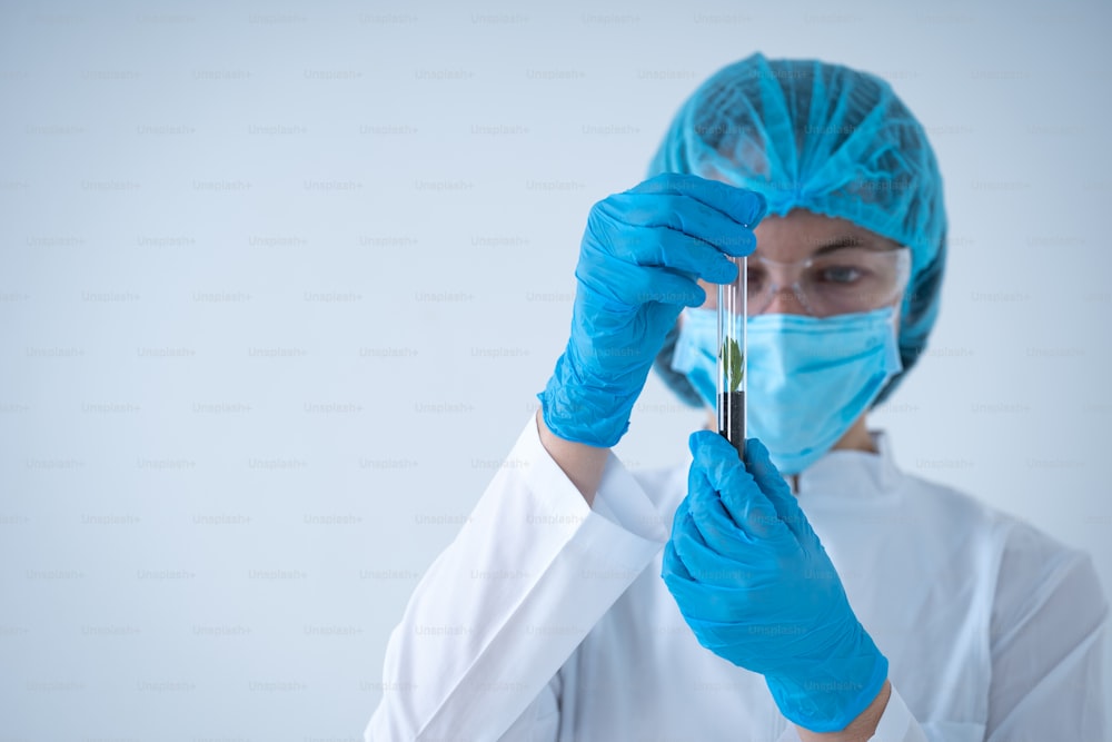 Foto di ritratto di donna operaia in cappotto e guanti protettivi che fa esperimento di laboratorio, tenendo provetta con pianta e terreno verdi, in piedi isolata su sfondo bianco con spazio di copia