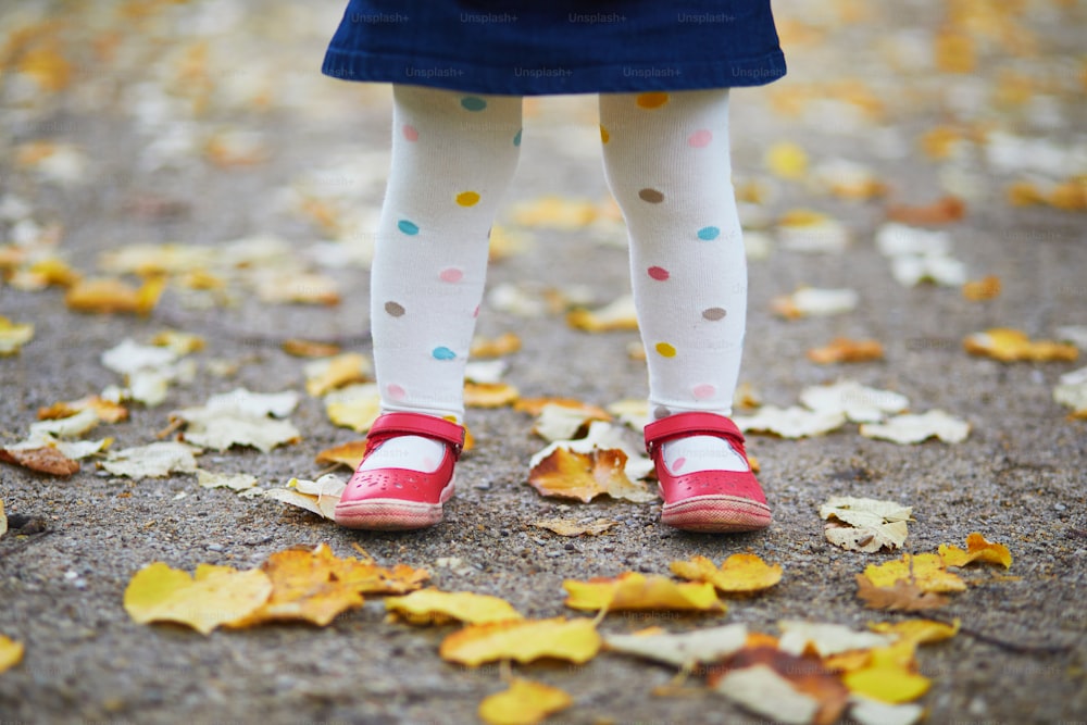 빨간 신발을 신고 물방울 무늬 팬티호스를 쓴 유아 소녀가 가을날 낙엽에 서 있다. 공원에서 가을날을 즐기는 아이. 아이들을위한 세련되고 아름다운 옷