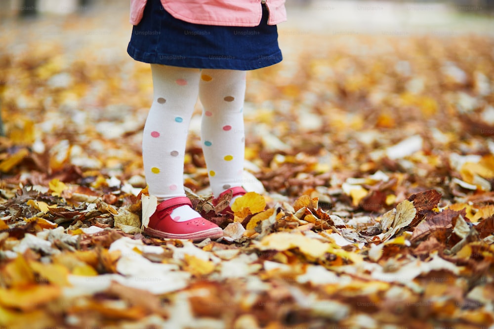 Toddler girl in red shoes and polka dot pantihose standing on fallen leaves in a fall day. Child enjoying autumn day in park. Stylish and beautiful clothes for kids