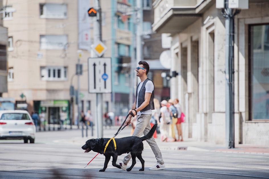 Young blind man with white cane walking across the street in city. Copy  space. photo – Crossing Image on Unsplash