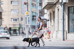 白杖をついた盲目の青年と盲導犬が街の通りを横切って歩いている横から見た写真。