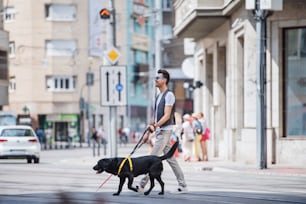 Side view of young blind man with white cane and guide dog walking across street in city.