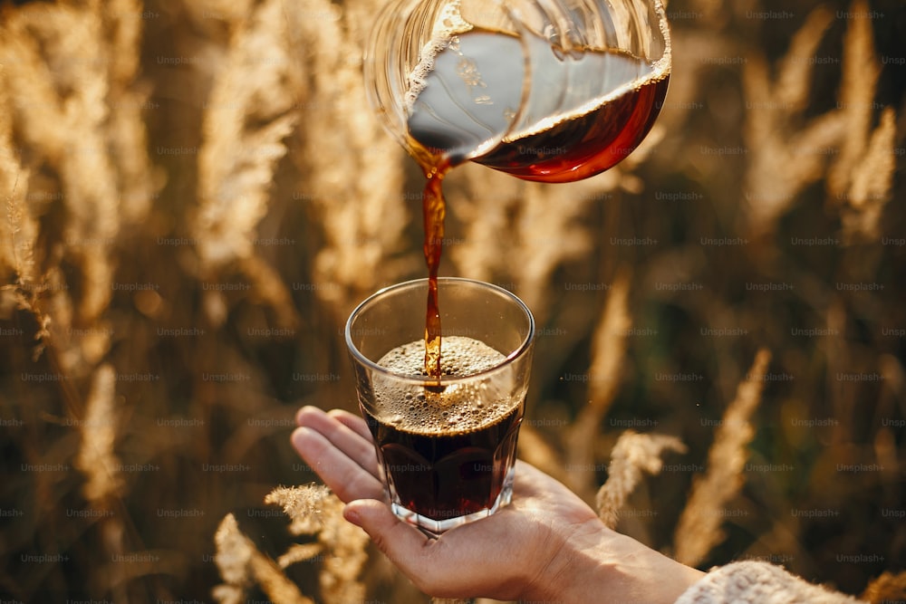 Traveler pouring fresh hot coffee in glass cup on background of sunny warm light in rural herbs. Alternative coffee brewing outdoors in travel. Atmospheric rustic tranquil moment.