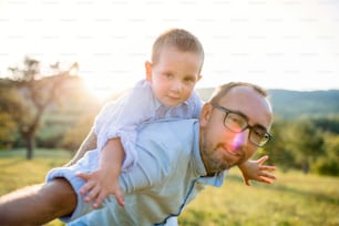 Father with small toddler son on a walk on meadow outdoors, having fun.