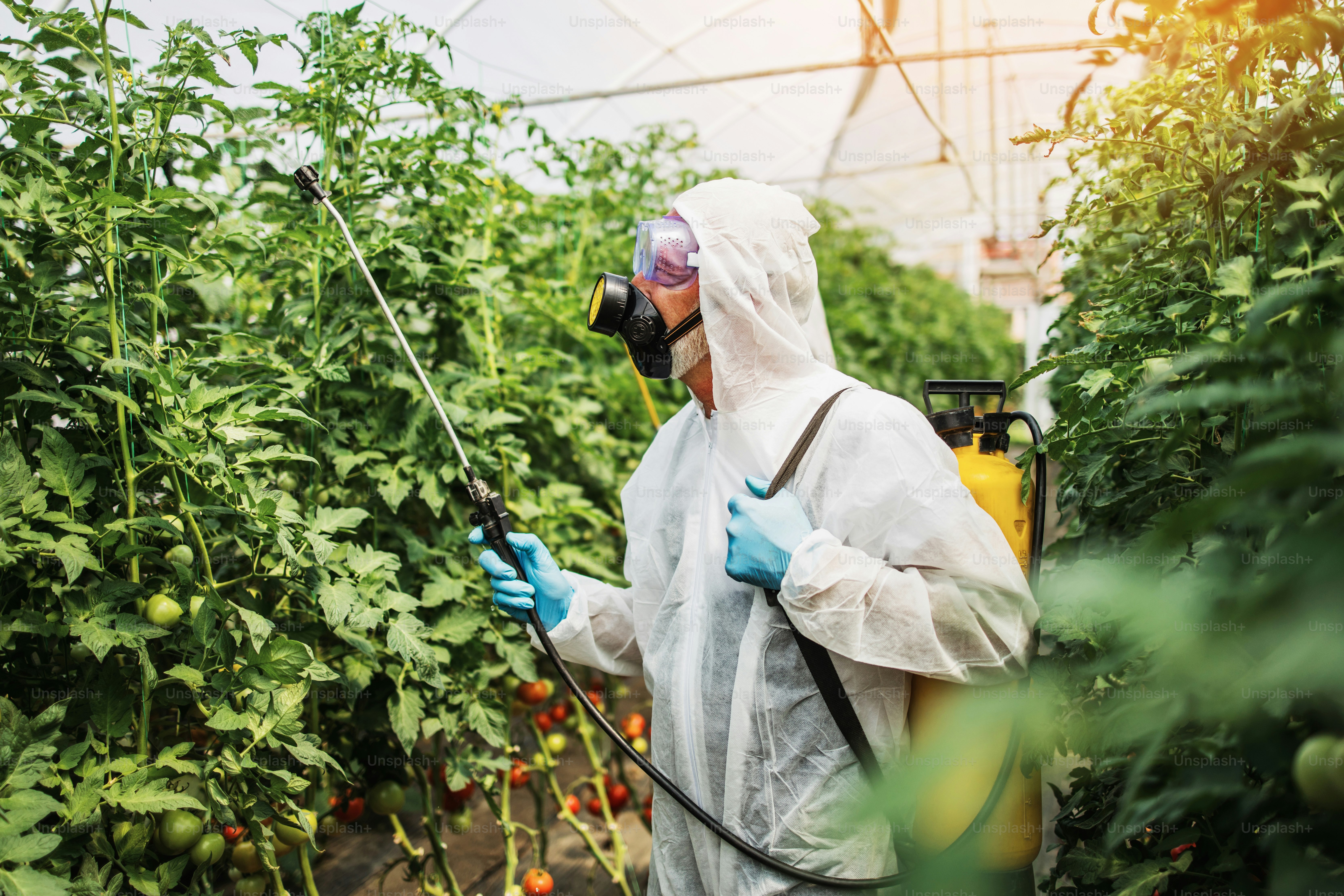 Why Seasonal Rodent Activity Spikes Without Warning