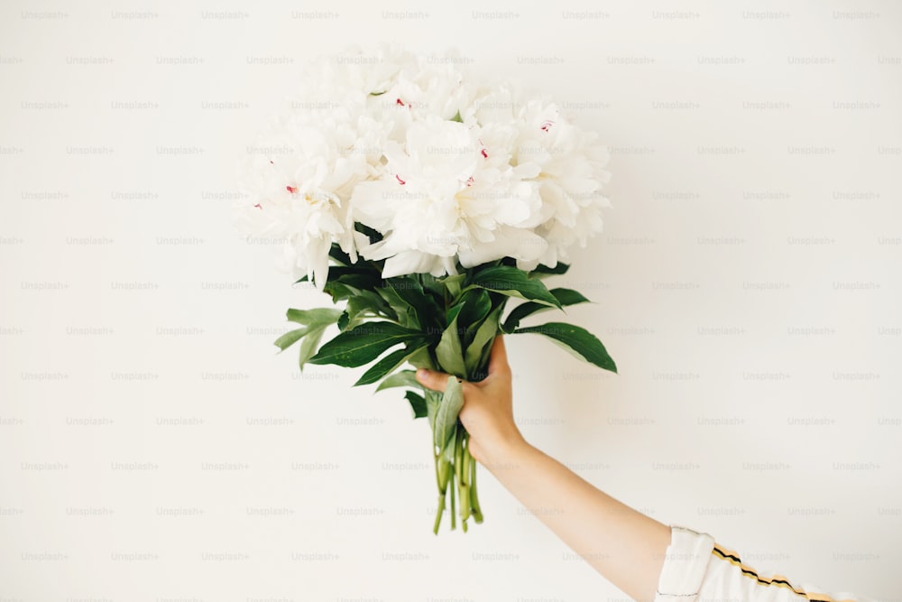 Hand holding peony bouquet on white wall background. Stylish white peonies in florist hand. Hello spring wallpaper. Happy Mothers day. Wedding arrangement