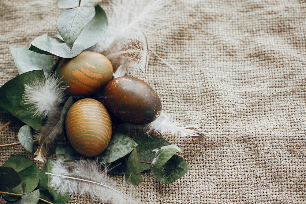 소박한 테이블에 깃털이 있는 소박한 둥지에 있는 세련된 부활절 달걀. 자연 염색 녹색 부활절 달걀 유칼립투스 가지, 봄 꽃 시골 섬유 배경에. 플랫 레이