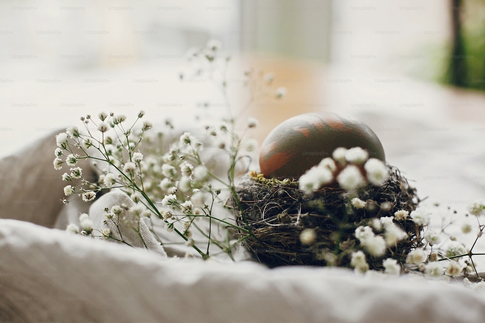 Stylish easter egg in rustic nest  on wooden table. Natural dyed green easter egg with white spring flowers on rural textile background. Space for text