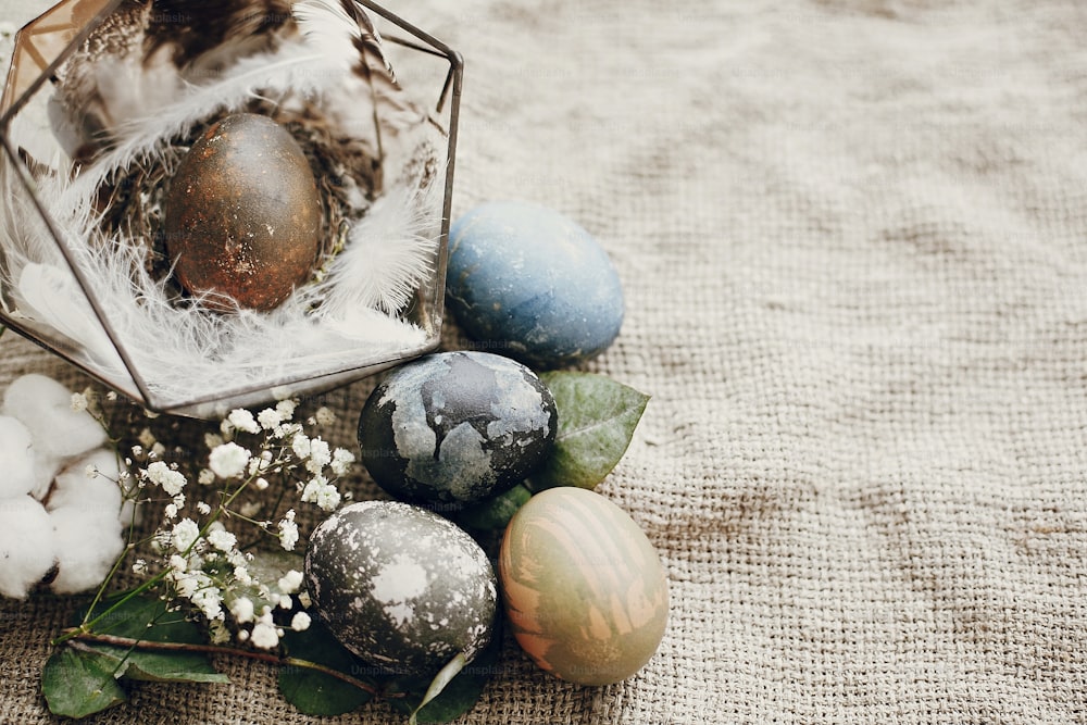 Stylish easter egg in  modern nest with feathers on rustic table. Natural dyed easter eggs with eucalyptus branch, spring flowers, cotton on rural background. Table setting