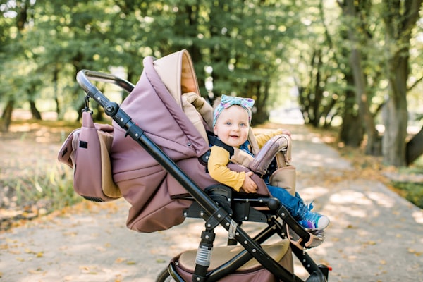 Strollers & Carriers