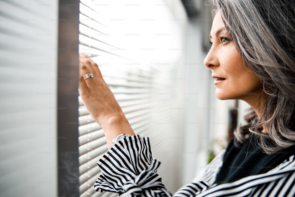Calm attractive adult woman touching the blinders on her office window and looking out
