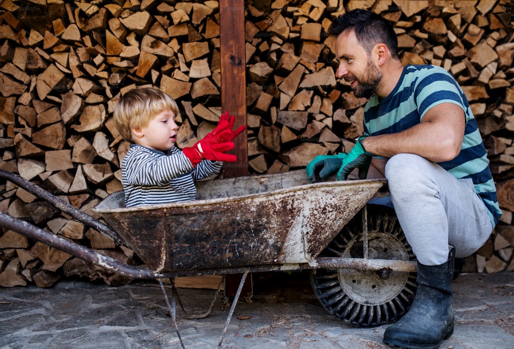 Ein Vater und ein Kleinkind mit Schubkarre im Sommer im Freien und arbeiten mit Brennholz.