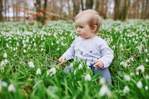 Cute one year old baby girl sitting on the grass with many snowdrop flowers in park or forest on a spring day. Little kid exploring nature. Outdoor activities for children