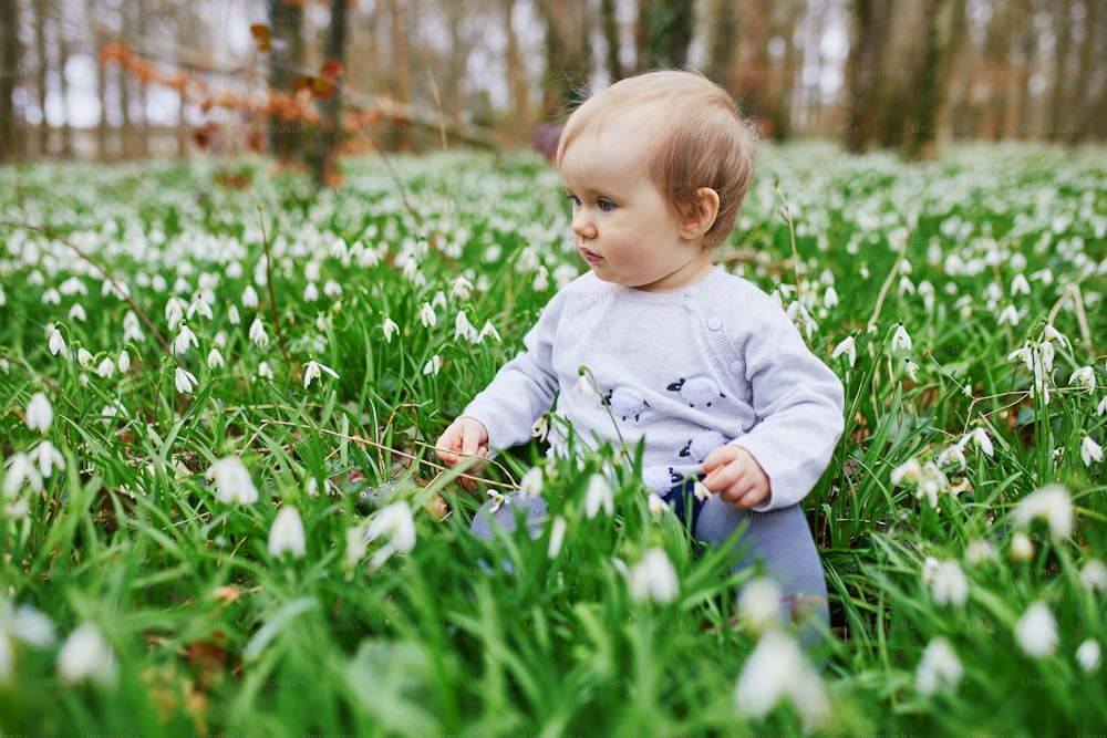 Cute one year old baby girl sitting on the grass with many snowdrop flowers in park or forest on a spring day. Little kid exploring nature. Outdoor activities for children