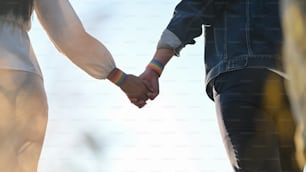 Image recadrée d’un jeune couple de lesbiennes LGBT se tenant la main tout en marchant ensemble dans un magnifique coucher de soleil sur un champ d’herbe. Concept de bonheur LGBT.