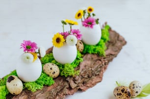 Primo piano della decorazione naturale per la tavola di Pasqua con uova e fiori all'interno su corteccia di pino su sfondo bianco. Messa a fuoco selettiva.