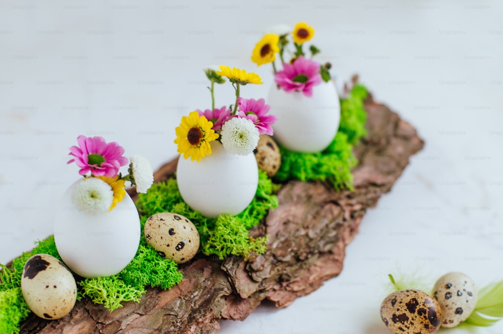 Close up da decoração natural para a mesa de Páscoa com ovos e flores dentro dela em casca de pinheiro no fundo branco. Foco seletivo.